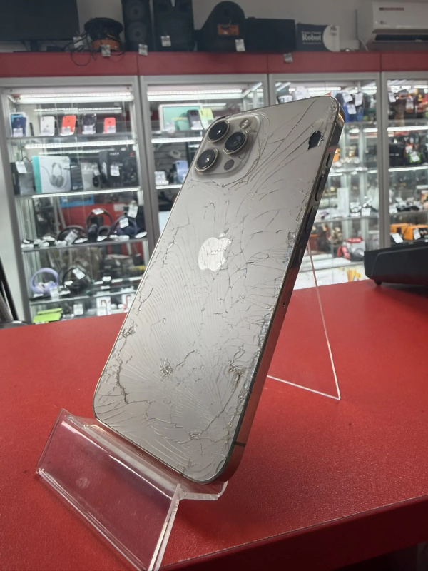 Мобильный телефон Apple iPhone 12 Pro Max